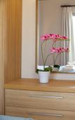 Туры в отель Louis St. Elias Resort Туры в отель Louis St. Elias Resort