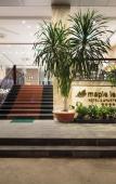 Туры в отель Maple Leaf Hotel & Apartment Туры в отель Maple Leaf Hotel & Apartment