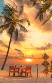 Туры в отель Furaveri Island Resort & Spa Туры в отель Furaveri Island Resort & Spa