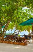 Туры в отель Rashu Hiyaa Туры в отель Rashu Hiyaa