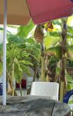Туры в отель Beach Heaven Maldives Туры в отель Beach Heaven Maldives