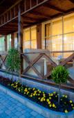 Туры в отель Venera Resort (Витязево) Туры в отель Venera Resort (Витязево)