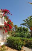 Туры в отель Saradari Apartments Туры в отель Saradari Apartments
