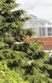 Туры в отель Apartments Pribilovic Туры в отель Apartments Pribilovic