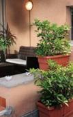 Туры в отель Residence Sacconi Туры в отель Residence Sacconi