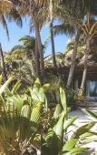 Туры в отель Nomade Tulum Туры в отель Nomade Tulum