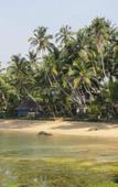 Туры в отель Blue Sky Beach Resort Туры в отель Blue Sky Beach Resort