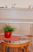 Туры в отель Paradies Туры в отель Paradies