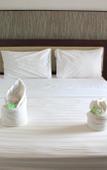 Туры в отель New Asta Graha Homestay Туры в отель New Asta Graha Homestay