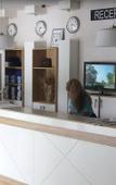 Туры в отель Green Park Туры в отель Green Park