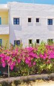 Туры в отель Villa Apollonia Туры в отель Villa Apollonia