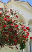 Туры в отель Corfu Sea Gardens Hotel Туры в отель Corfu Sea Gardens Hotel