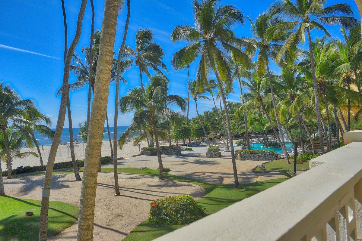 Costa caribe beach hotel resort венесуэла. Costa Caribe Beach Hotel Resort 3 Венесуэла. Coral Costa Caribe Resort & Spa. Costa Caribe Beach Hotel & Resort 4*. Coral Costa Caribe Resort Spa 3.