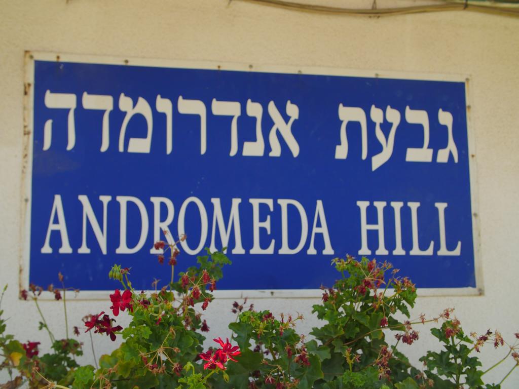Andromeda Hill