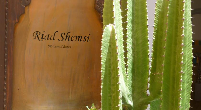 Туры в Riad Shemsi