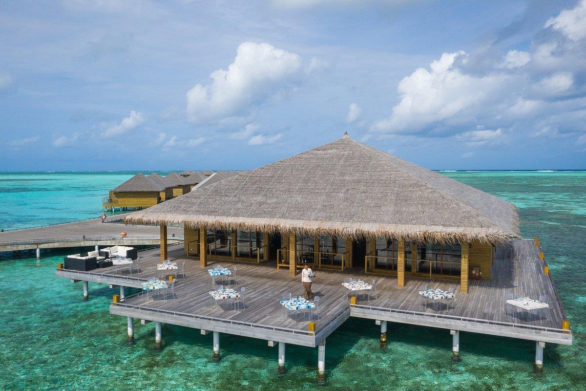 Туры в Cocoon Maldives