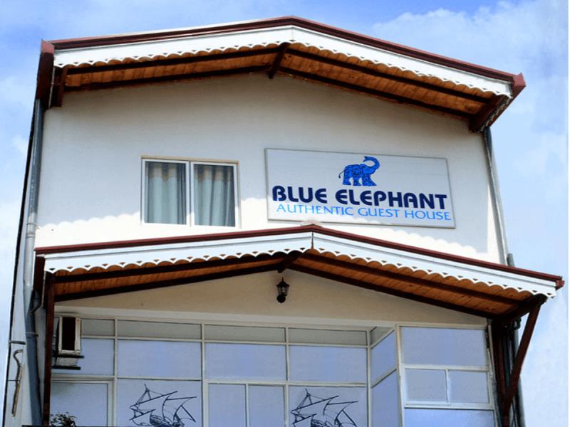 Blue Elephant - Tourist Guest House