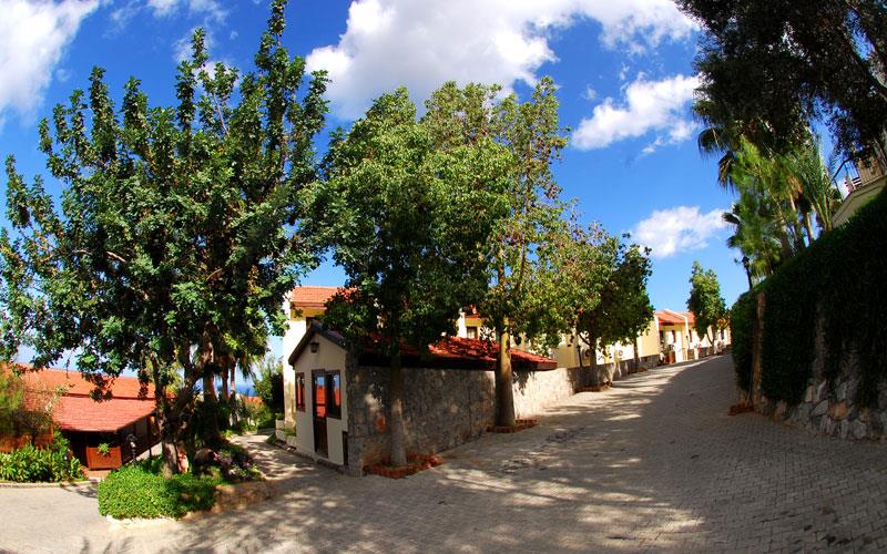 Bellapais Monastery Village