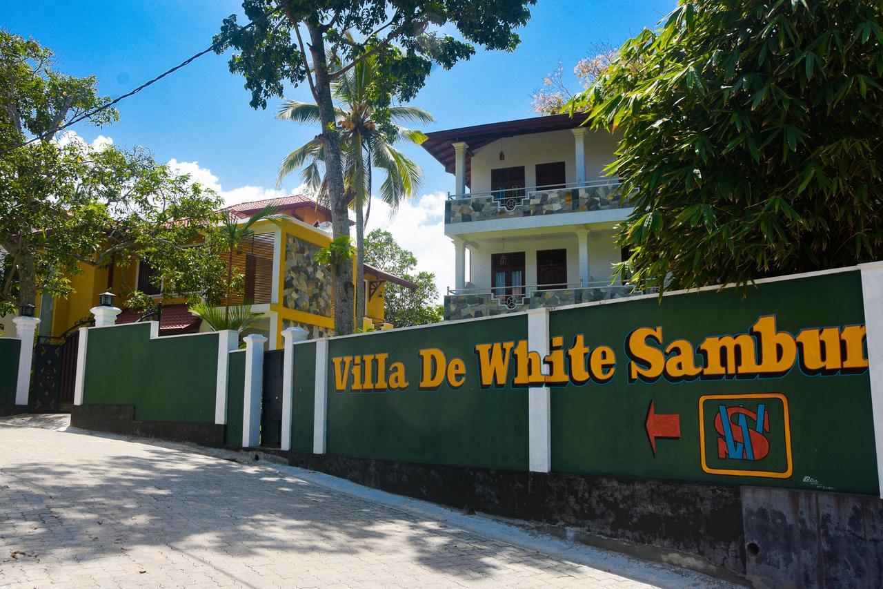 Туры в Villa De White Sambur