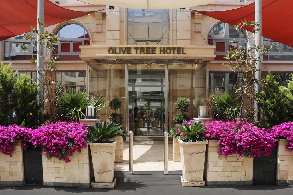 Olive Tree Hotel 4*