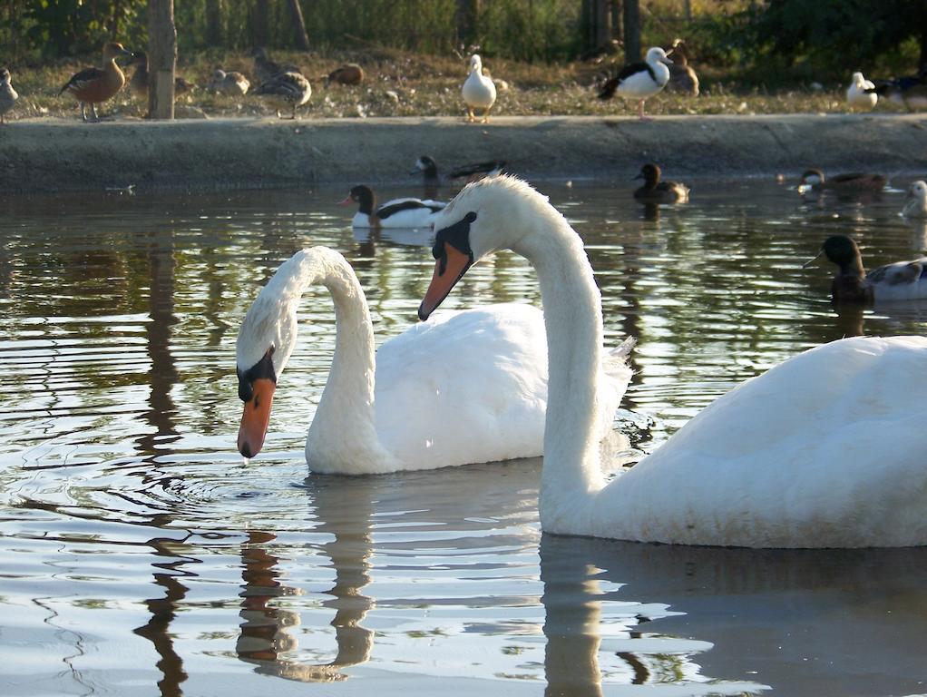 Туры в Agriturismo Nonna Rina