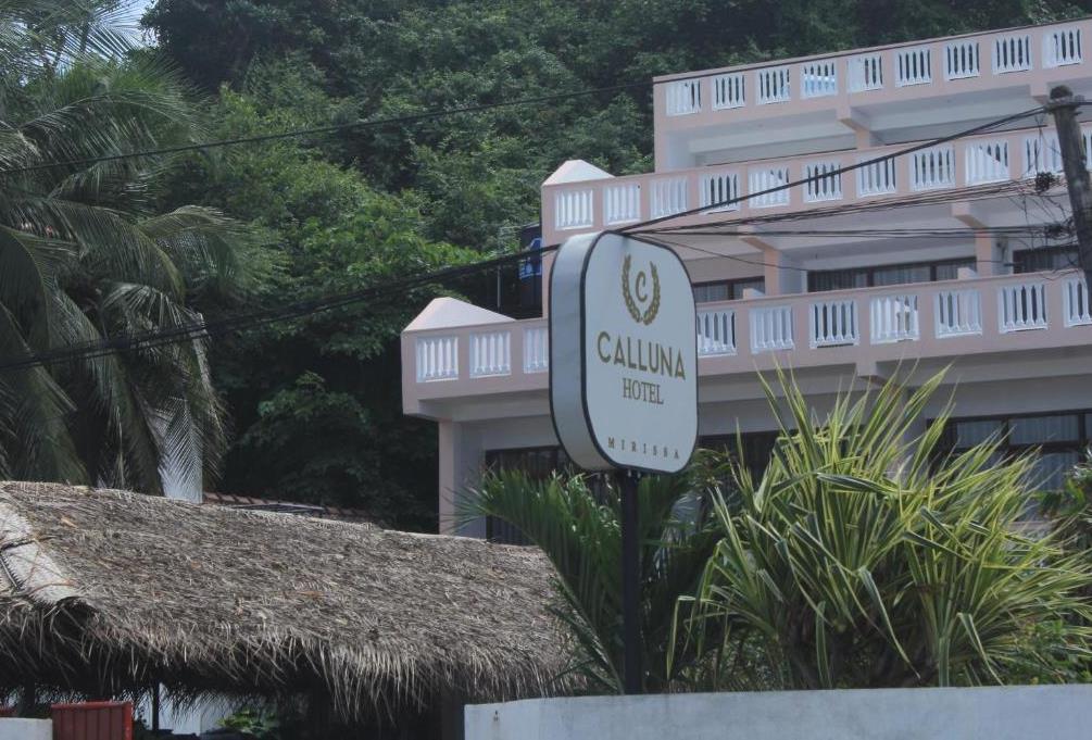 Calluna Hotel 2*