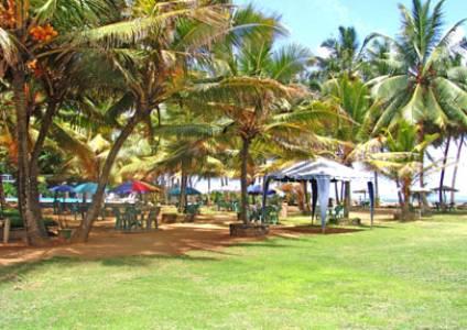 Туры в Shalimar Beach Resort