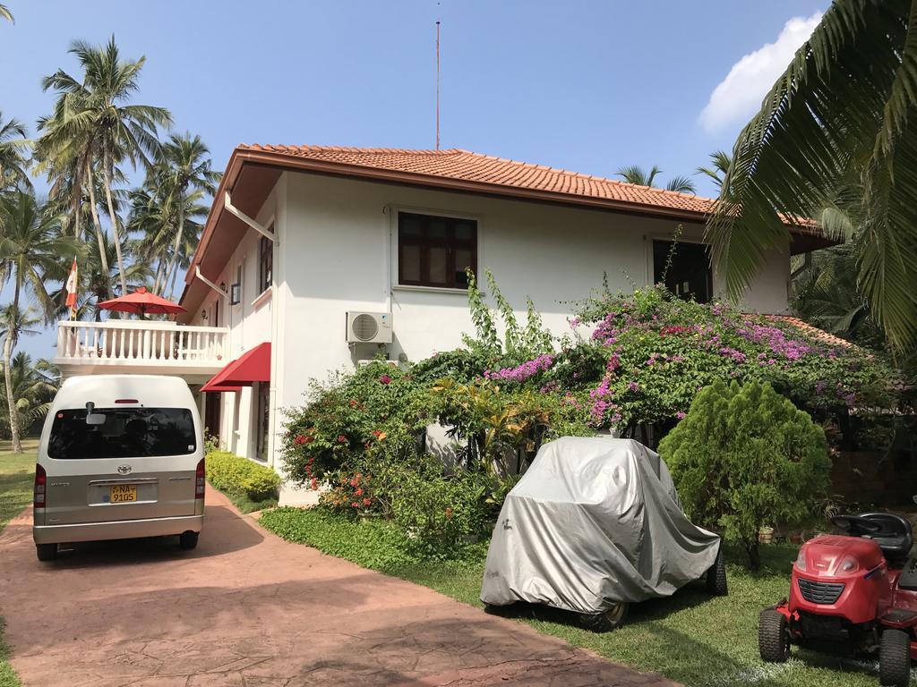 Палм шри ланка. Отель the Palms Шри Ланка. Villa Palm Beach Шри Ланка. Agnus Luxury Villa Шри Ланка.