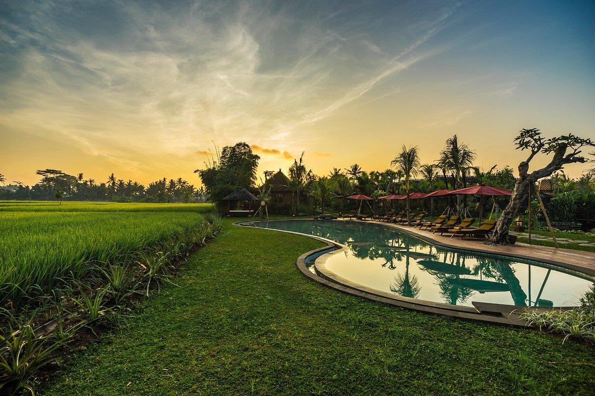 Туры в Arya Villas Ubud