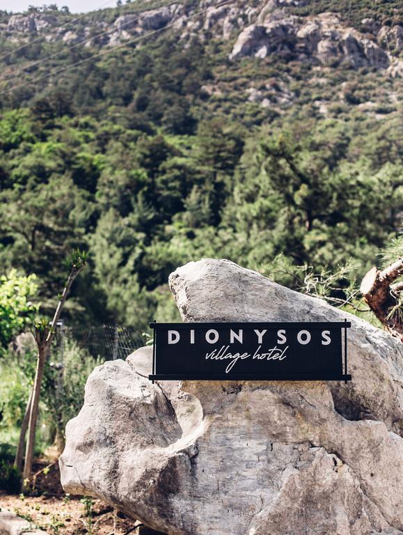 Dionysos Village Hotel 4*