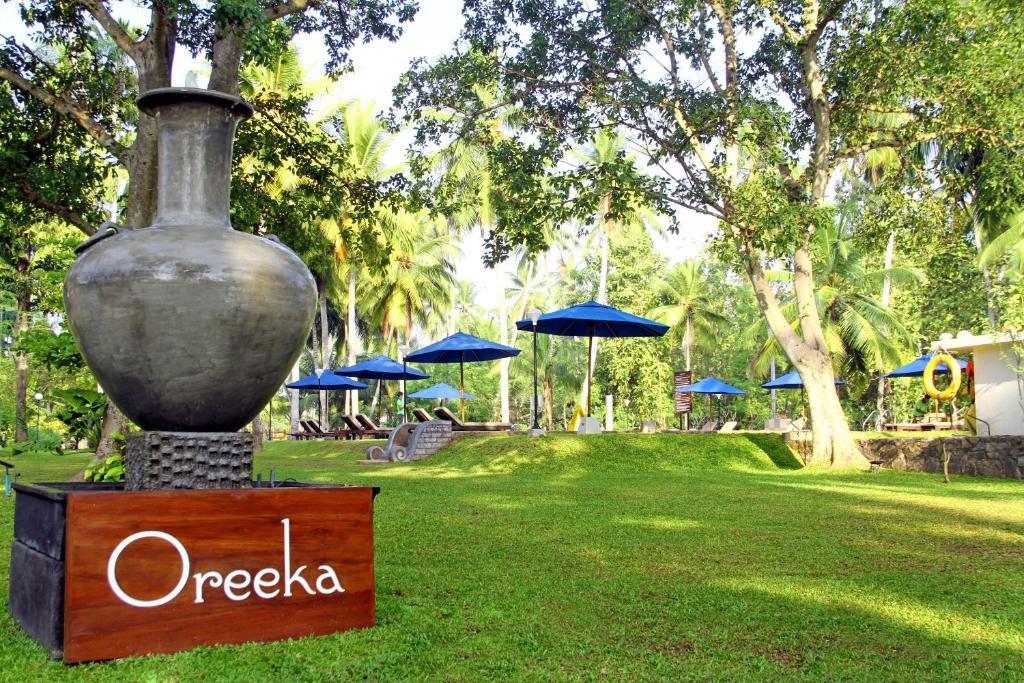 Туры в Oreeka Hotel