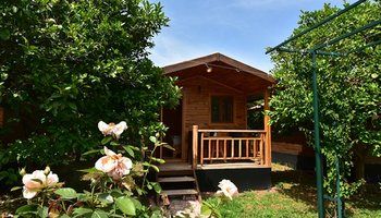 Lemon Garden Lodge 1*