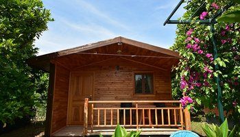 Lemon Garden Lodge 1*