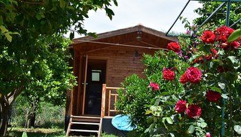 Lemon Garden Lodge 1*