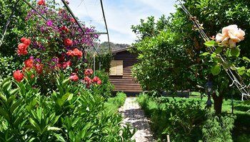 Lemon Garden Lodge 1*