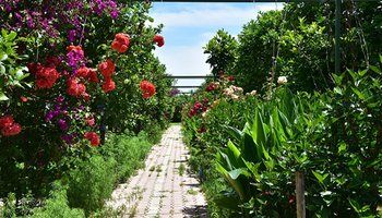 Lemon Garden Lodge 1*