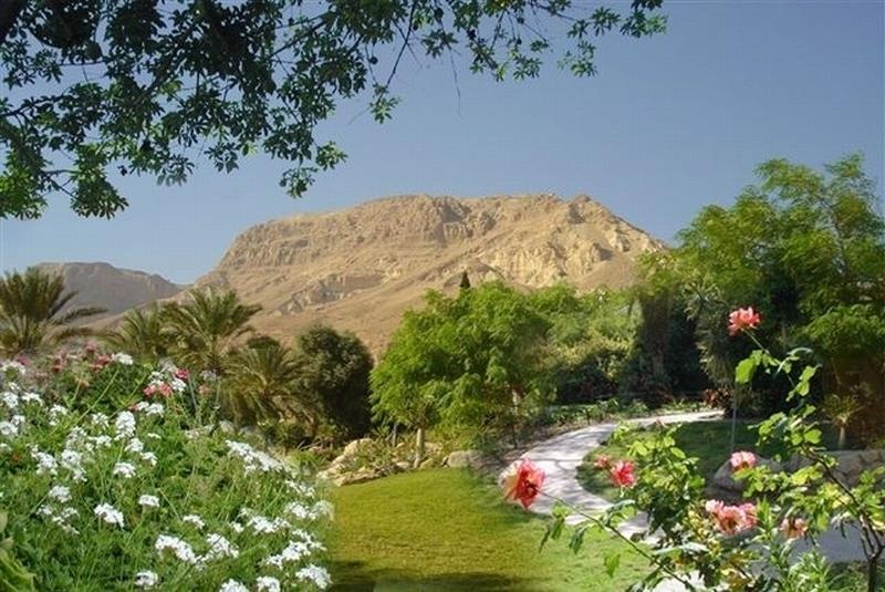 Туры в Ein Gedi Resort