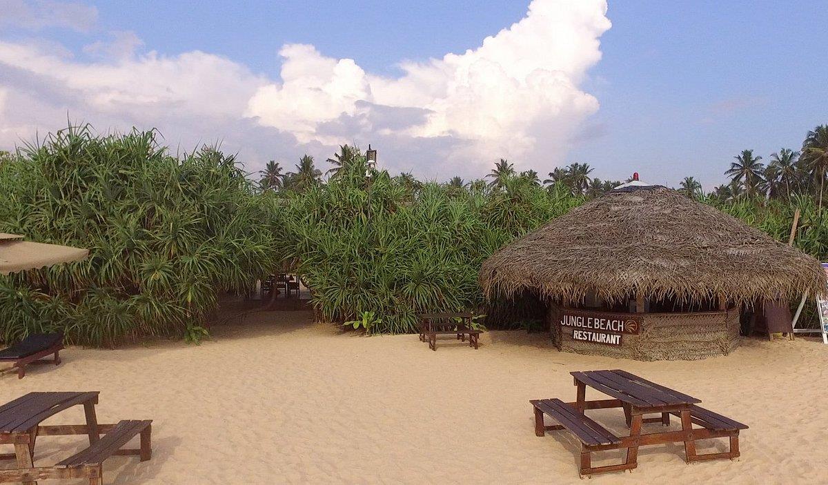 Туры в Jungle Beach Camp Ahungalla