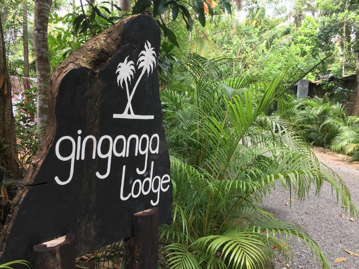 Туры в Ginganga Lodge
