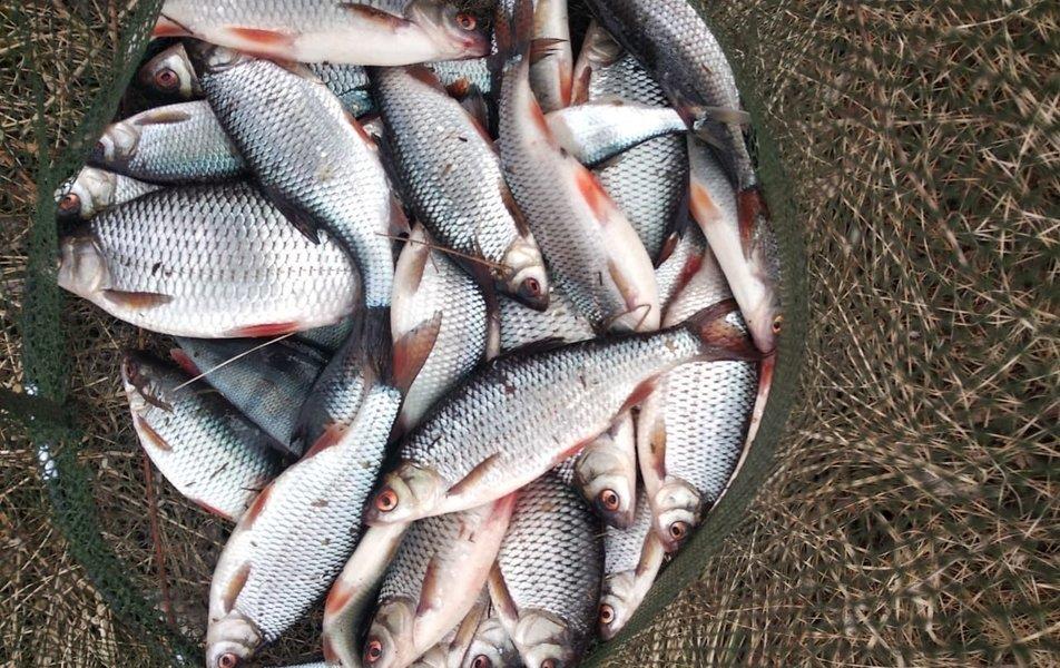 Гостевой дом Брейтово (Ножовники) 0*