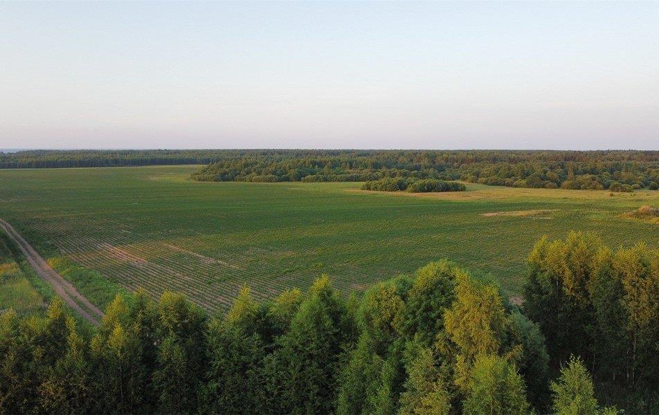 Гостевой дом Брейтово (Ножовники) 0*