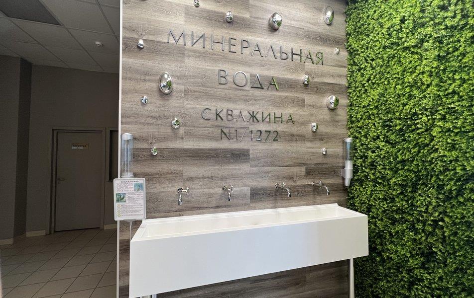 Алсма СПА-отель (Васильково) 4*