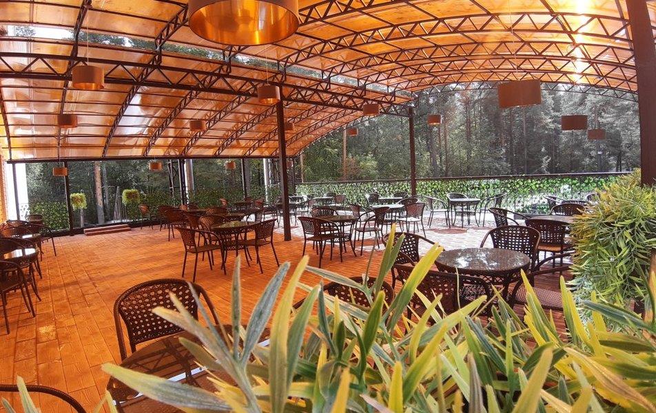 Алсма СПА-отель (Васильково) 4*