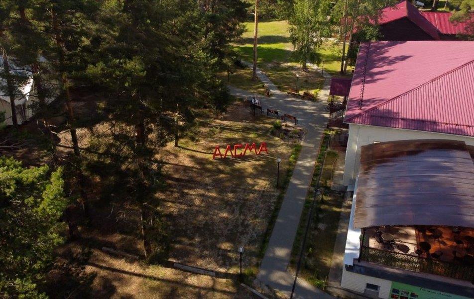 Алсма СПА-отель (Васильково) 4*