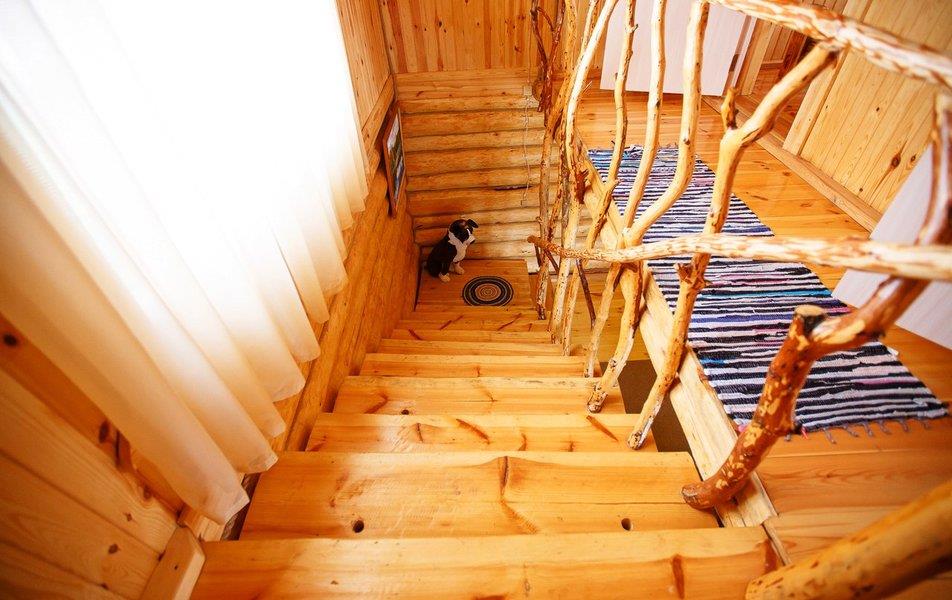 База отдыха Поле Чудес 1*