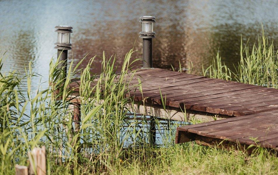 База отдыха Поле Чудес 1*