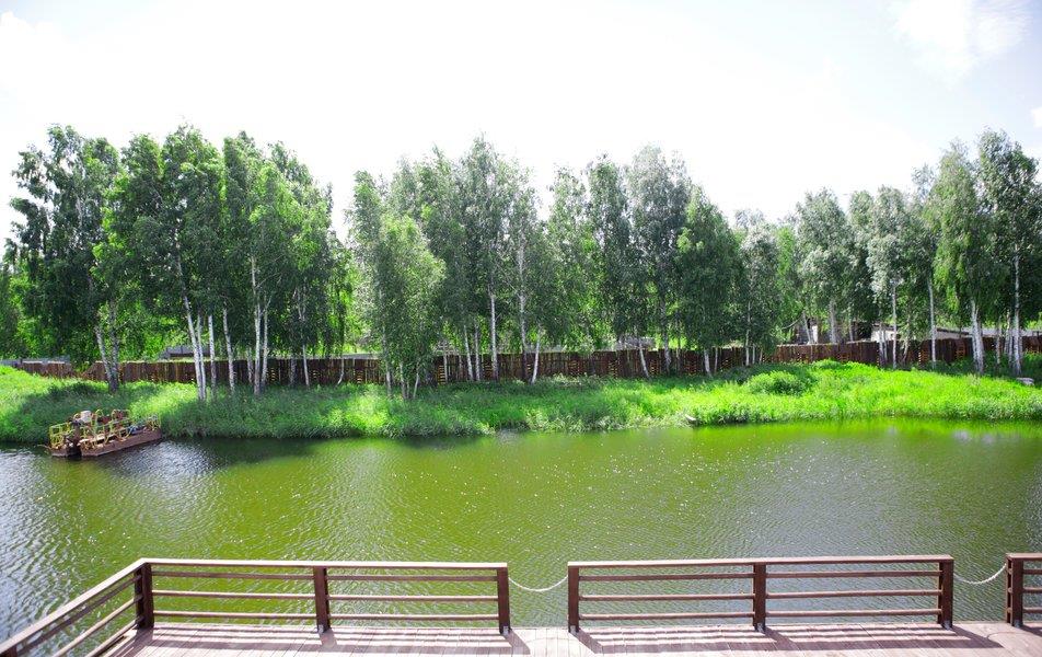 База отдыха Поле Чудес 1*