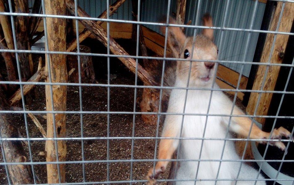 Санаторий Ай (Месягутово) 0*