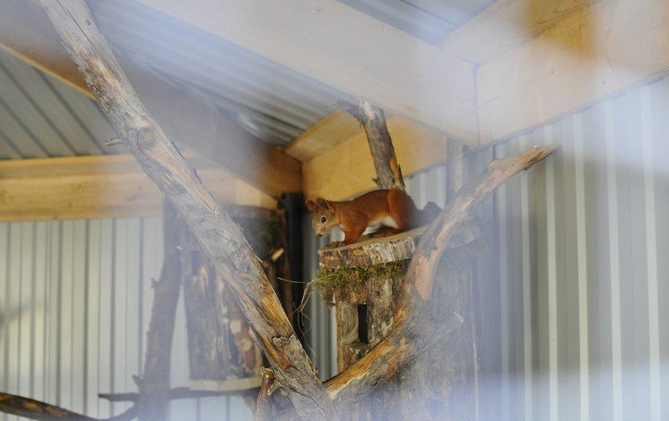 Санаторий Ай (Месягутово) 0*