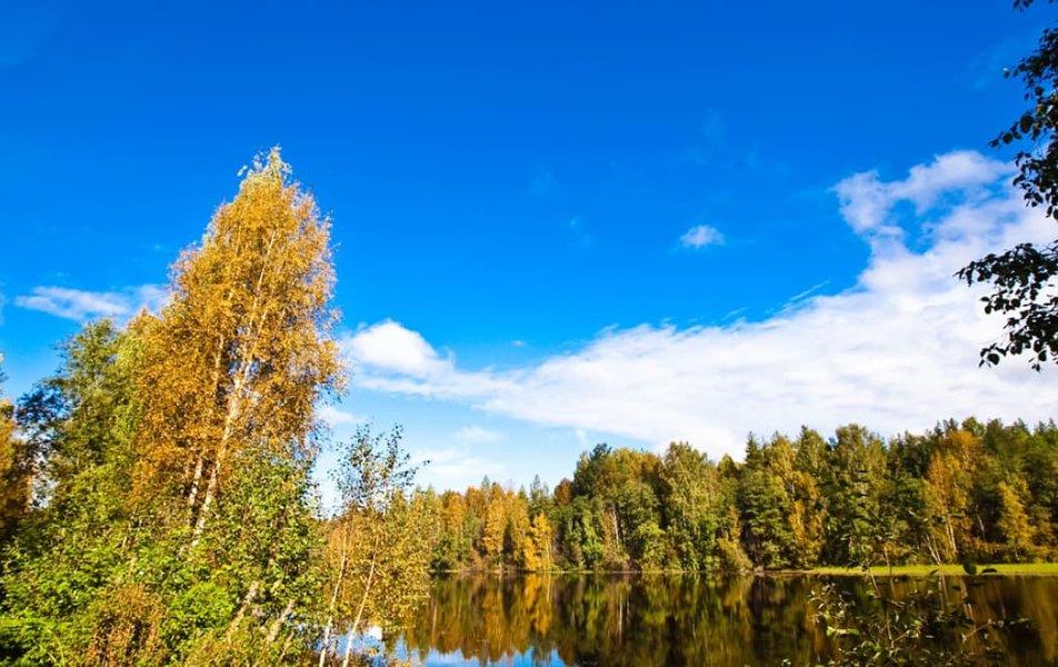 База отдыха Чуньки (Большое Вороново) 1*